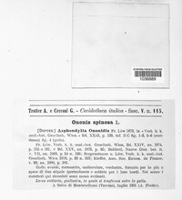 Image Associated With the Occurence